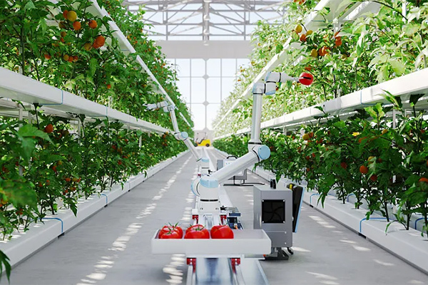 直流伺服一体机在采摘机器人中的实际应用